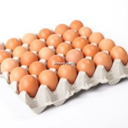 Telur B 30 Biji